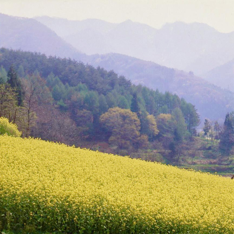 3月