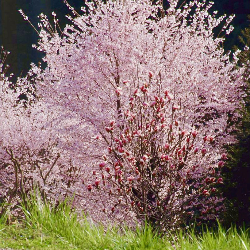 4月