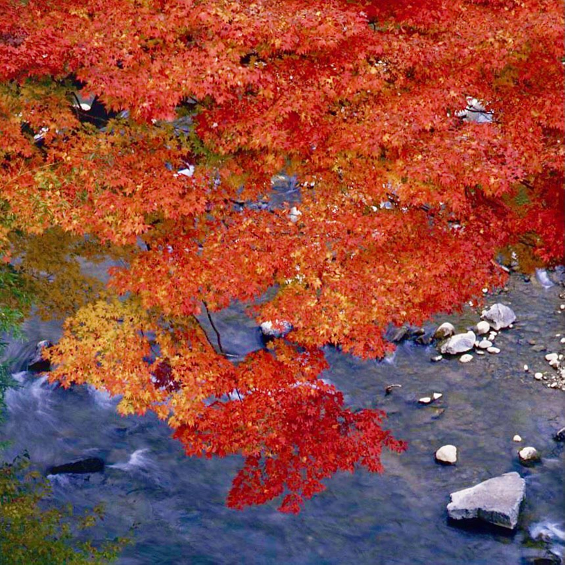 10月
